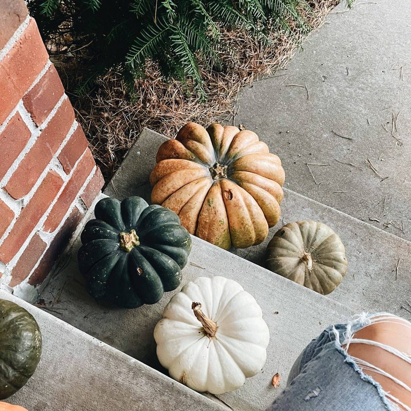 Lindsay sitting on a step with pumpkins.