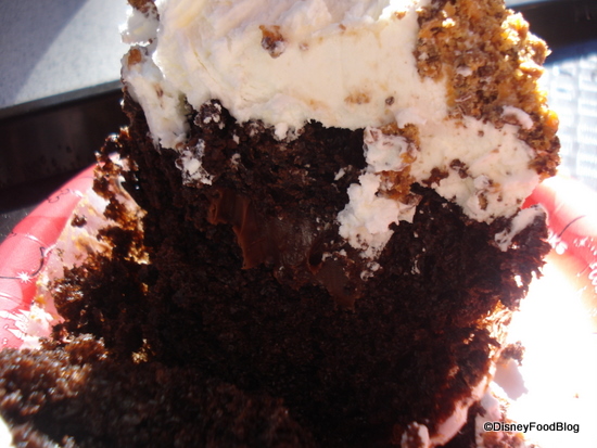 A Yummy Chocolate Frosting-y Center