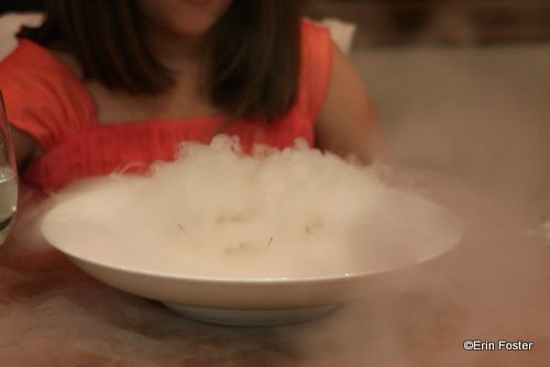 Erin Foster Victoria and Alberts K