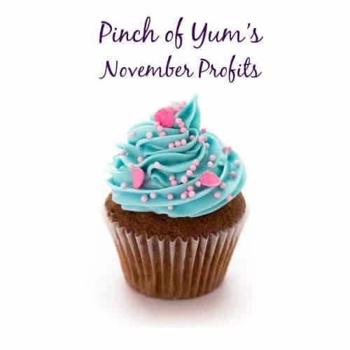 Pinch of Yum's November Profits with a cupcake.