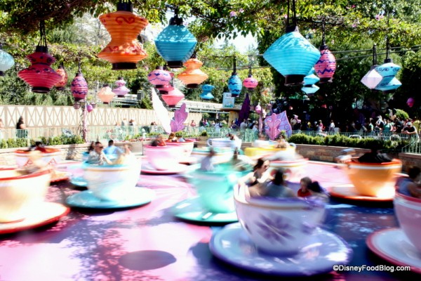 Teacups