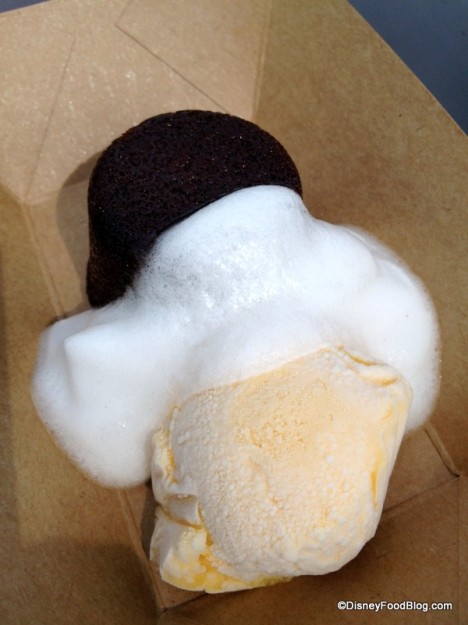 Chocolate Cake with Passion Fruit Sorbet and Coconut Foam - Terra