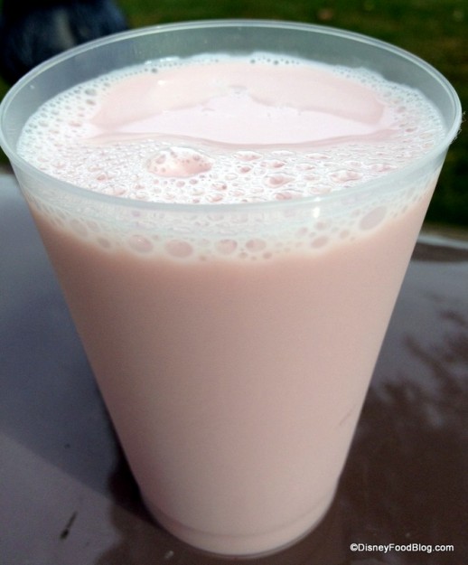 Silk Berry Smoothie - Terra