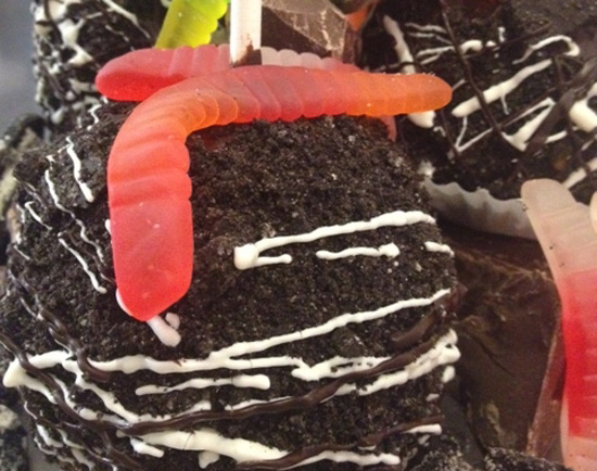 Dirt and Worms Apple