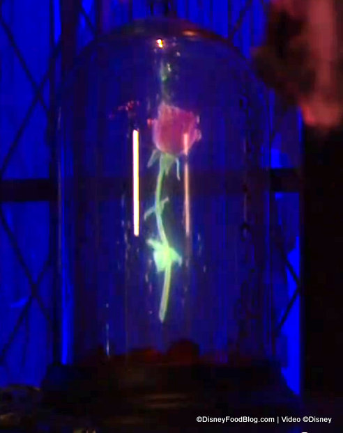 Enchanted Rose in West Wing (2)