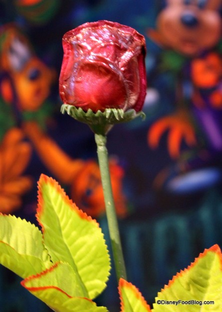 chocolate rose close up