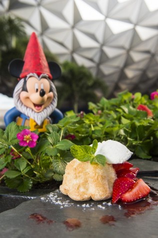 angel food cake with macerated berries
