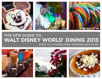 dfb_guide_2013g_white