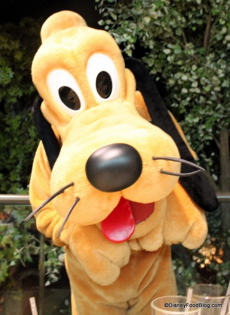 Pluto!