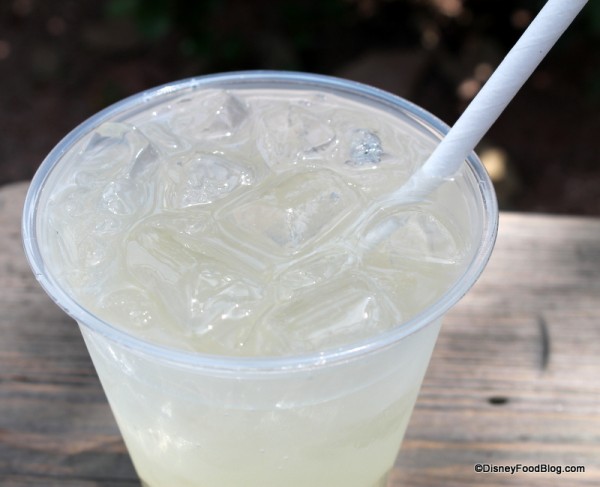 Glacier on the rocks