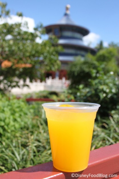 Kung Fu Punch with Vodka and Triple Sec