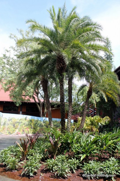 View from Pineapple Lanai