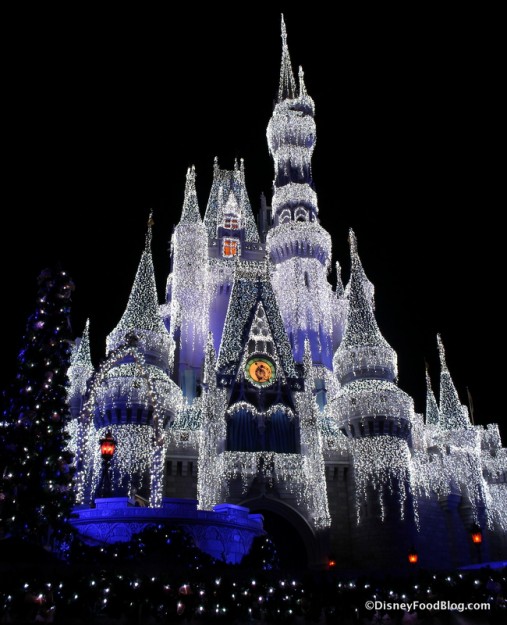 Cinderella Castle
