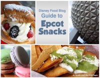 Epcot snacks 2015 cover flat macaron