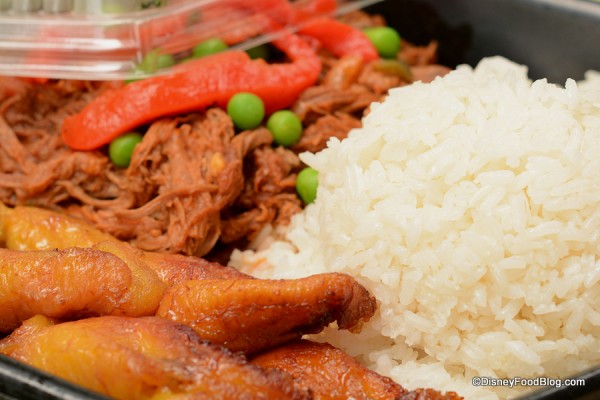 Closeup on Roja Vieja
