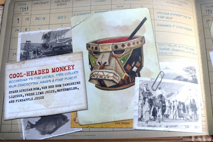 Pilot's Log Book: Africa