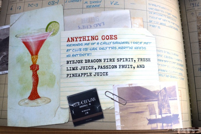 Pilot's Log Book: China