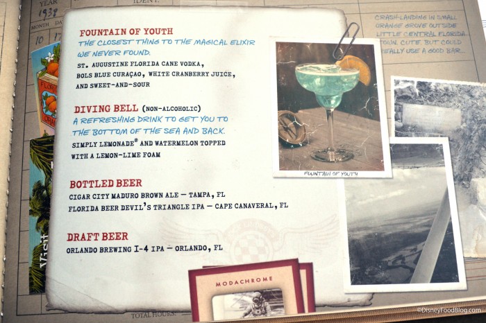 Pilot's Log Book: Florida