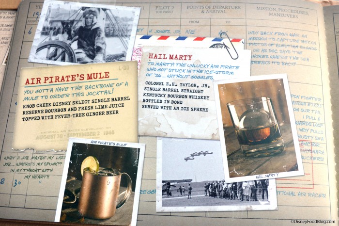 Pilot's Log Book: North America