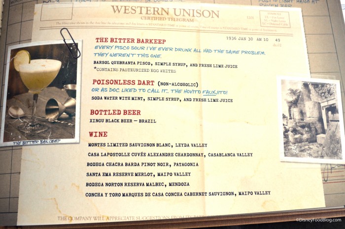 Pilot's Log Book: South America