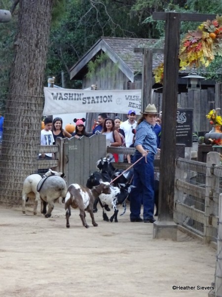 Ranch Residents Lining Up to Head to the Stables