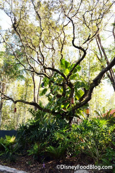 Beautiful Outside Atmosphere 