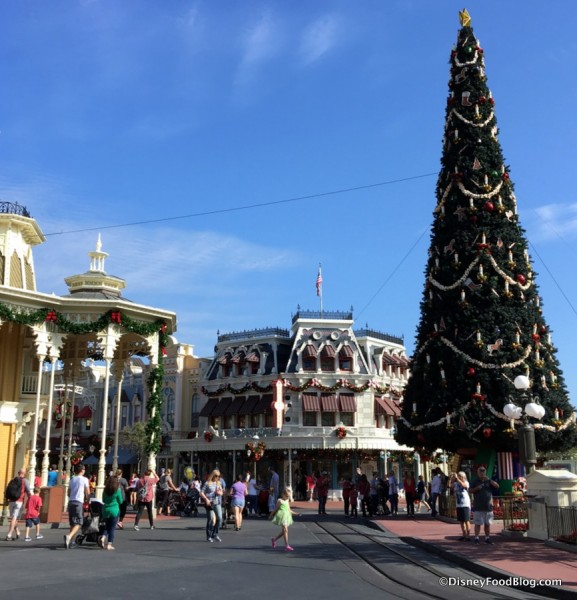 Magic Kingdom Decorations