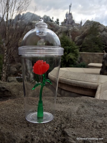 Enchanted Rose Cup