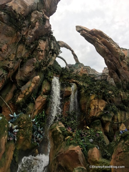 Flight of Passage entrance area