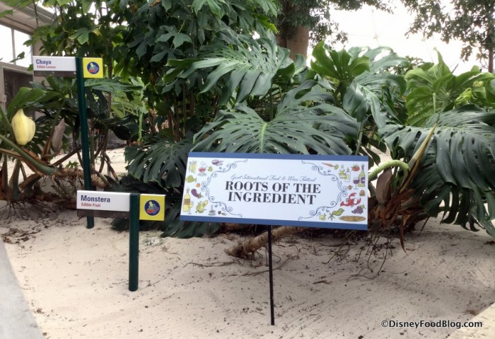 Roots of the Ingredient