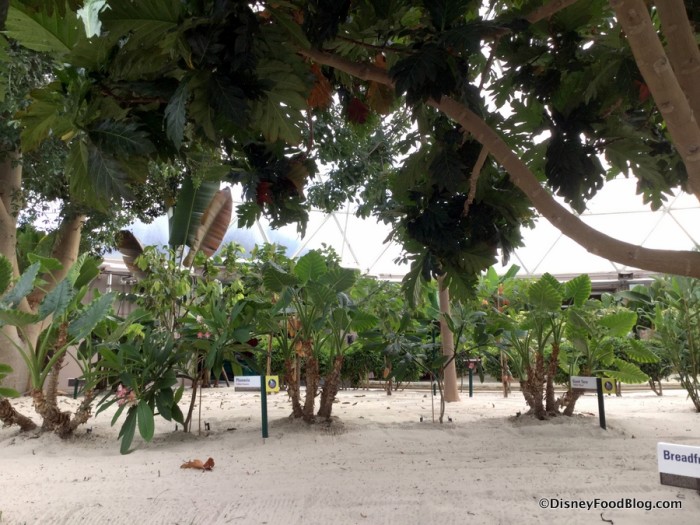 Living With the Land