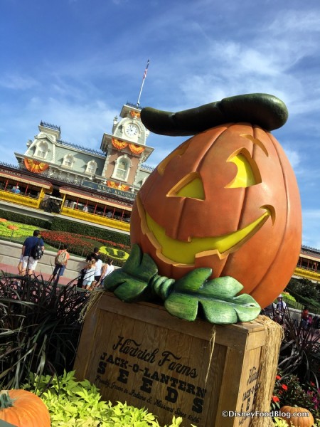 Fall in Magic Kingdom