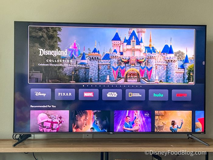 tv with disney+ logged in. homescreen banner of disneyland castle